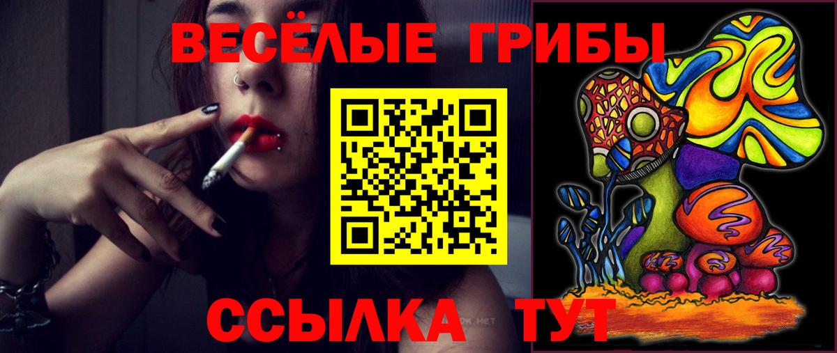 Узловая  Псилоцибиновые грибы мицелий  где можно купить   Вход с VPN 