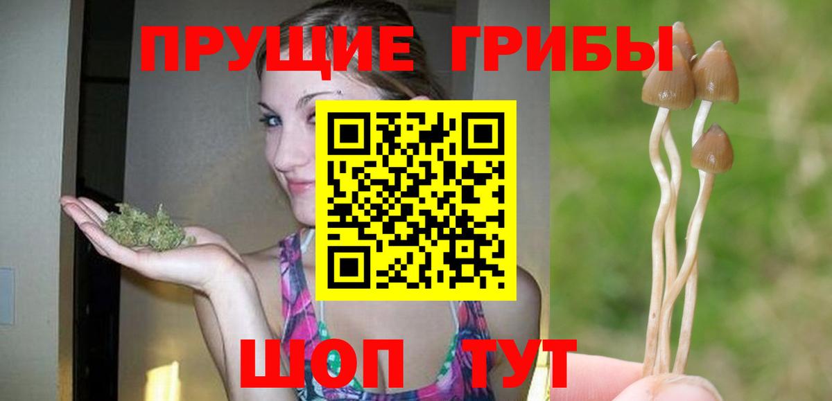 Псилоцибиновые грибы GOLDEN TEACHER Узловая